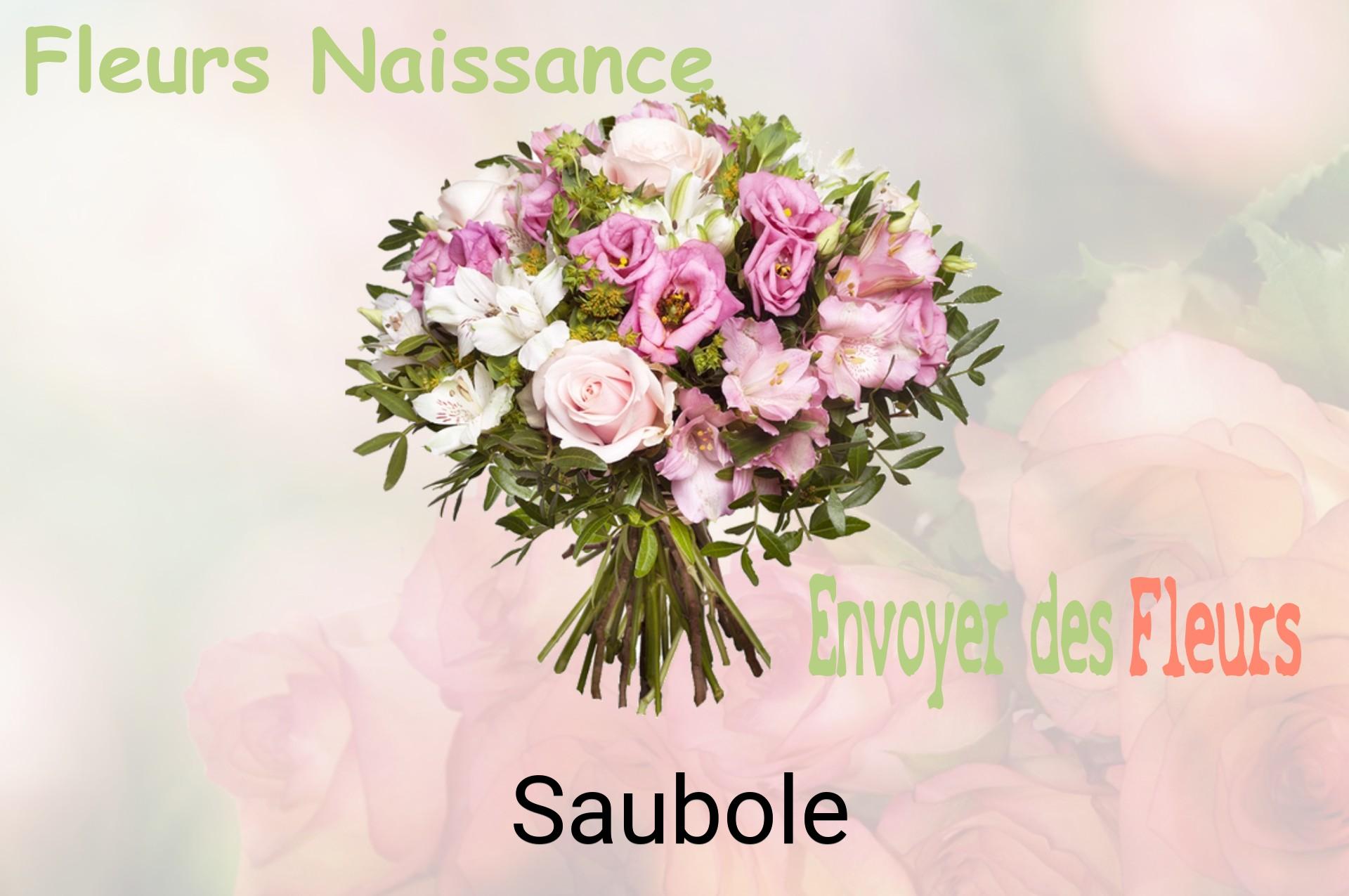 Bouquet de fleurs de naissance livré à Saubole